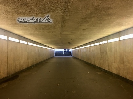 IMG 7677