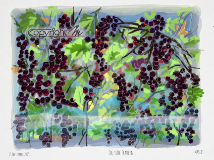 2025.Nachtgedanken-Tagebuch.1971