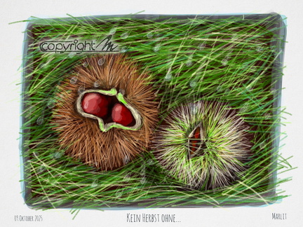 2025.Nachtgedanken-Tagebuch.1995